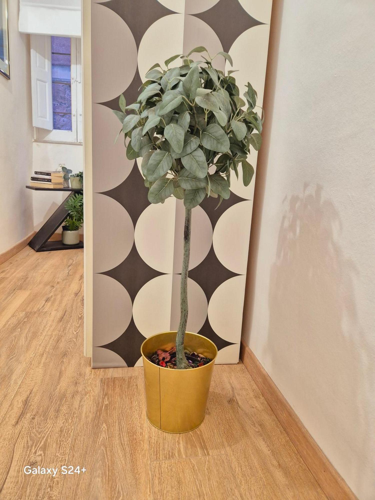 Casa vacanze Zebra A Pua' Boutique